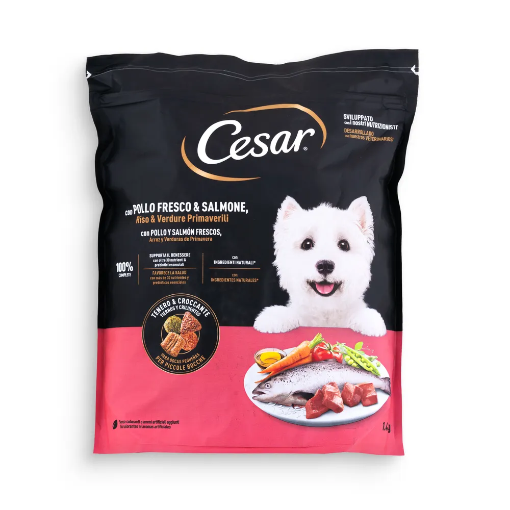 Cesar Dog Dry Food Chicken And Salmon 1
